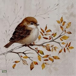 1serviette papier Moineau-17