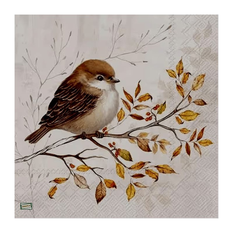 1serviette papier Moineau-17