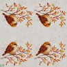 1serviette papier Moineau-17