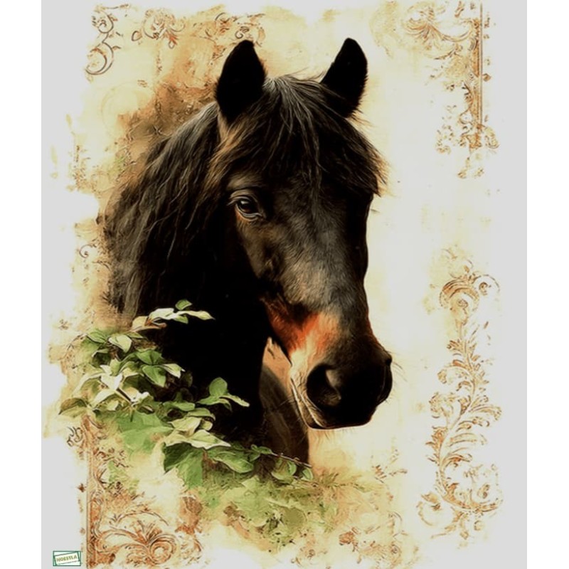 1papier de riz Cheval -RE8341
