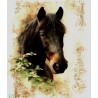 1papier de riz Cheval -RE8341