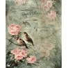 1papier de riz Oiseaux-R978