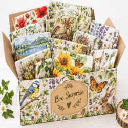 BOX 50 serviettes Nature