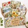 BOX 50 serviettes Nature
