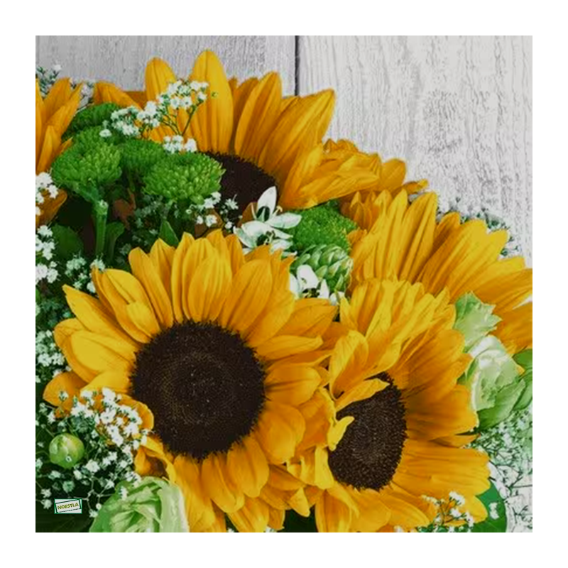 1 serviette Les Tournesols -29