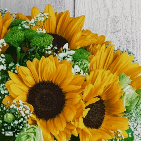 1 serviette Les Tournesols -29