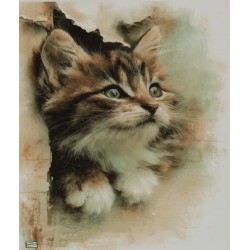 1 papier de riz Chat -RE8316