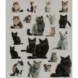 1 papier de riz Chats -RE1424