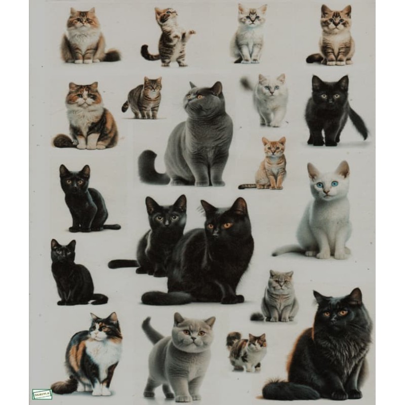 1 papier de riz Chats -RE1424
