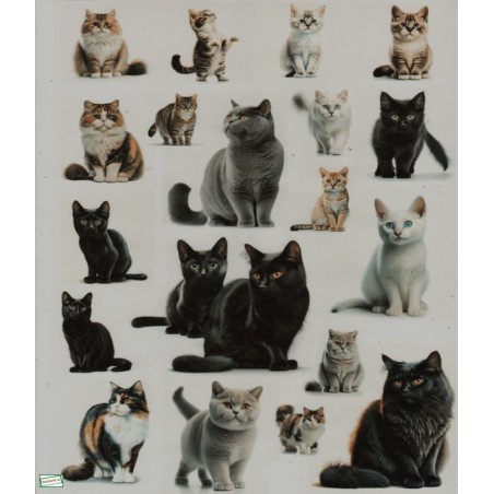 1 papier de riz Chats -RE1424