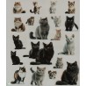 1 papier de riz Chats -RE1424