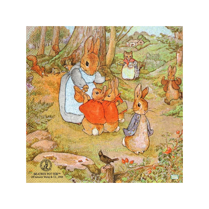 1 serviette papier Foxwood-37