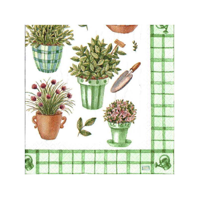 1 serviette Aromates -11