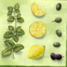 1 serviette Aromates -13