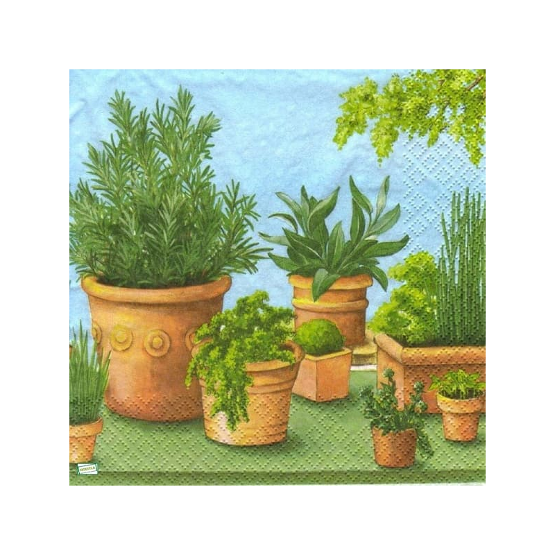 1 serviette Aromates -19