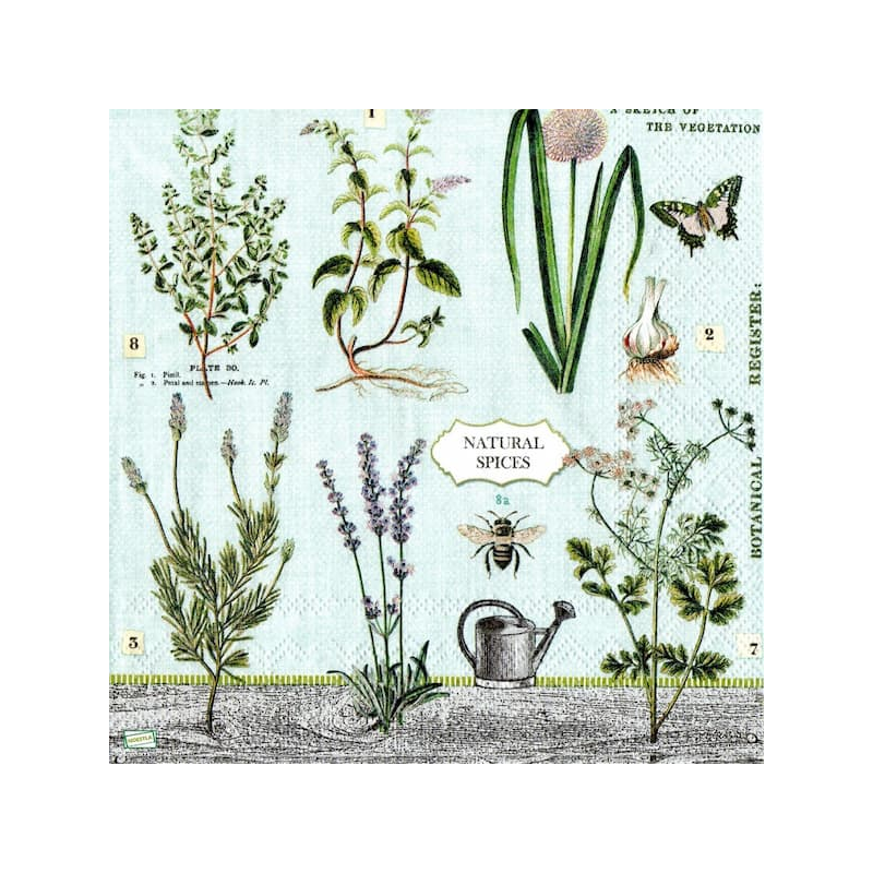 1 serviette Aromates -29