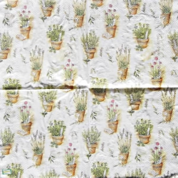 1 serviette Aromates -34