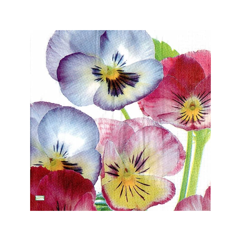 1serviette papier Pensées-4