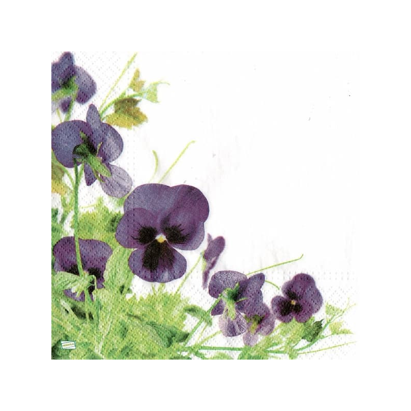 1serviette papier Pensées-12