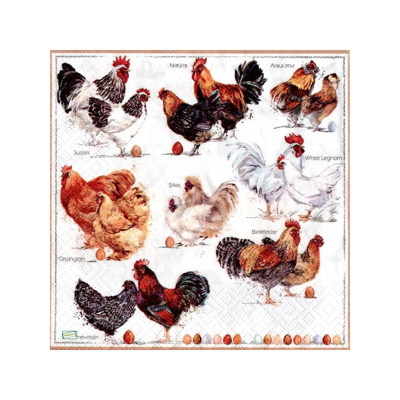 1serviette papier Poulets-5