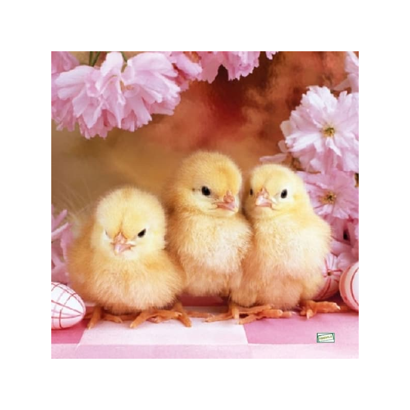 1serviette papier Poussins-15