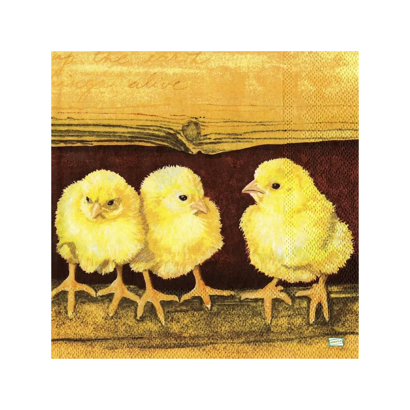 1serviette papier Poussins-17