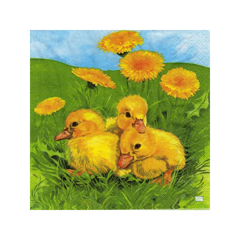 1serviette papier Poussins-29