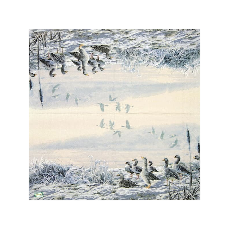 1serviette papier Les Oies-34