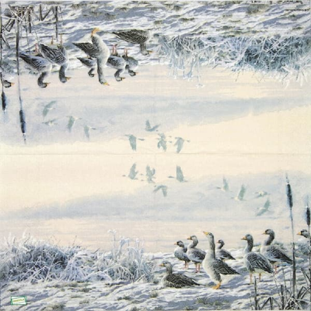 1serviette papier Les Oies-34