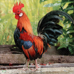 1serviette papier Le Coq-44
