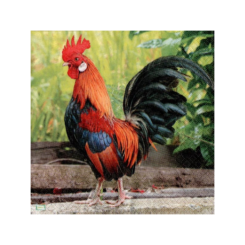 1serviette papier Le Coq-44
