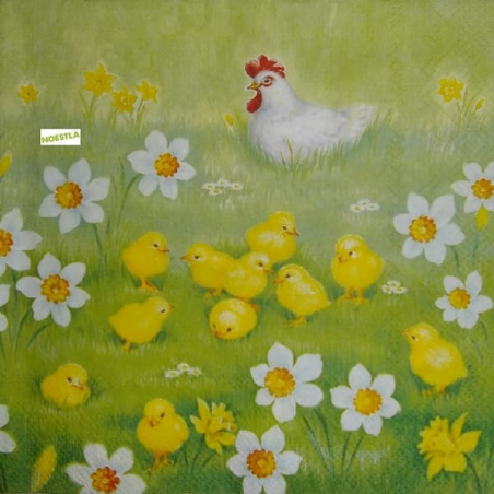 1 serviette Oiseaux Ferme -48