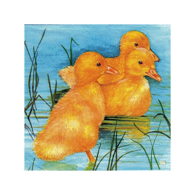 1serviette papier Poussins-49