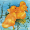 1serviette papier Poussins-49