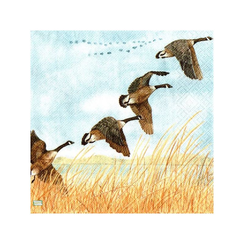 1serviette papier Canards-51