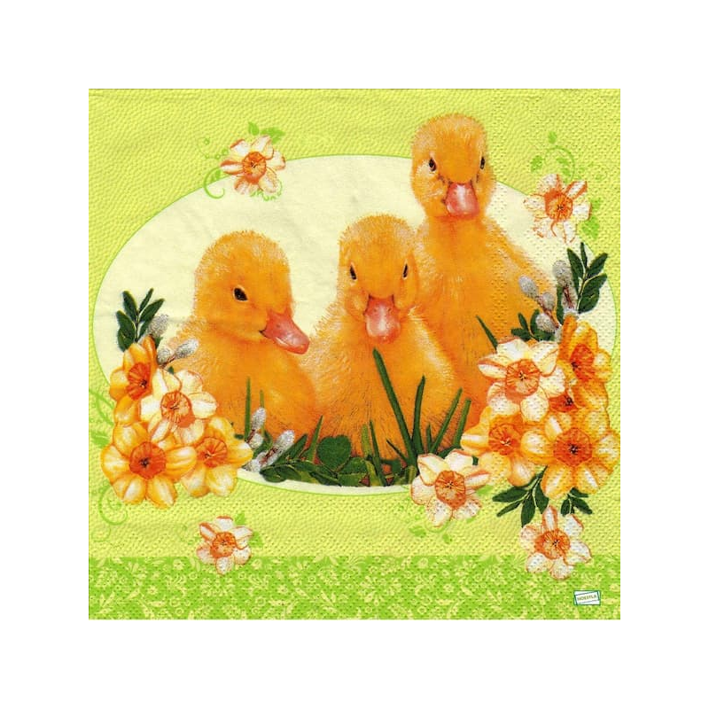1serviette papier Poussins-68
