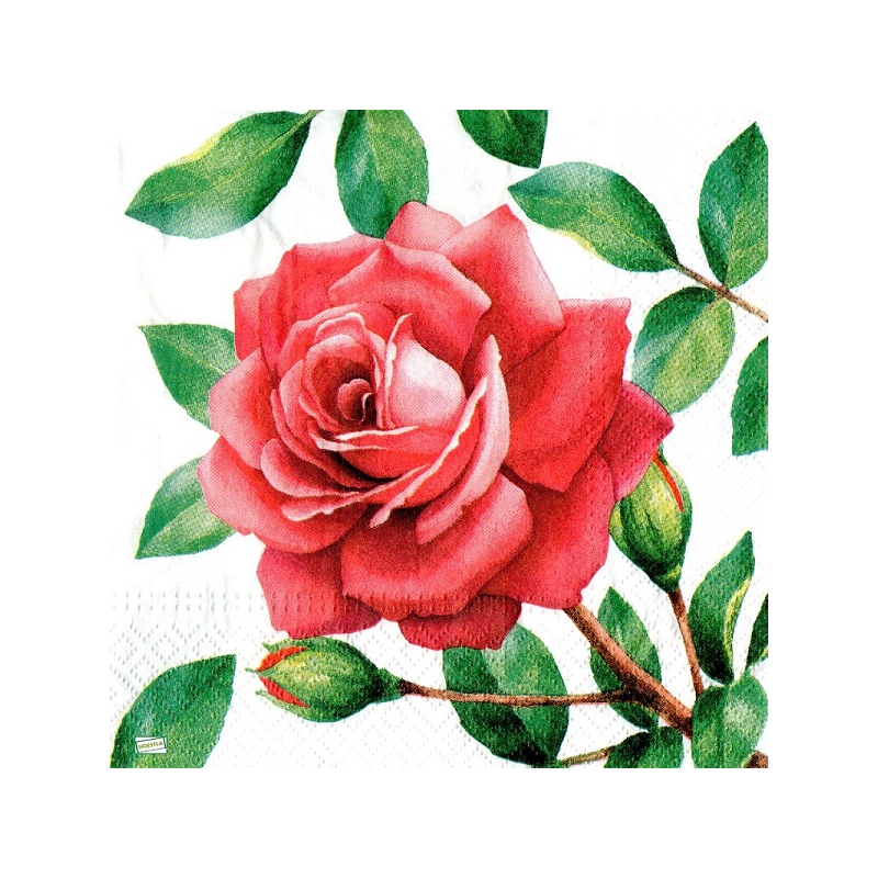 1serviette papier Les Roses-42