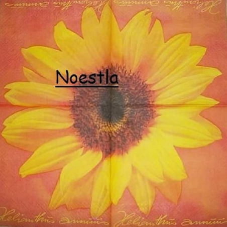 6 serviettes Les Tournesols-34