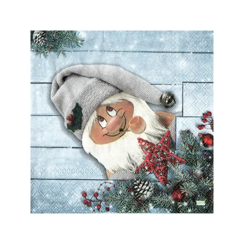 1 serviette Le Lutin -11