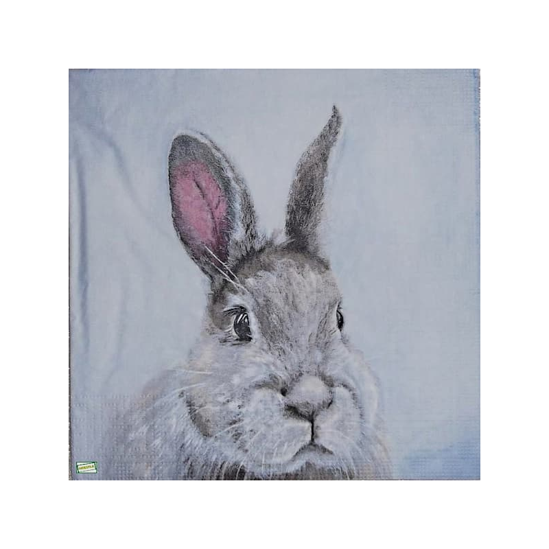 1serviette papier Le Lapin-2