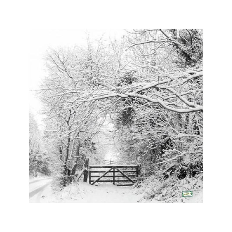 1serviette Paysage Enneigé-20