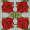 1serviette papier Les Roses-66