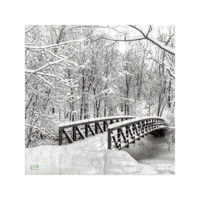 1serviette Paysage Enneigé-33