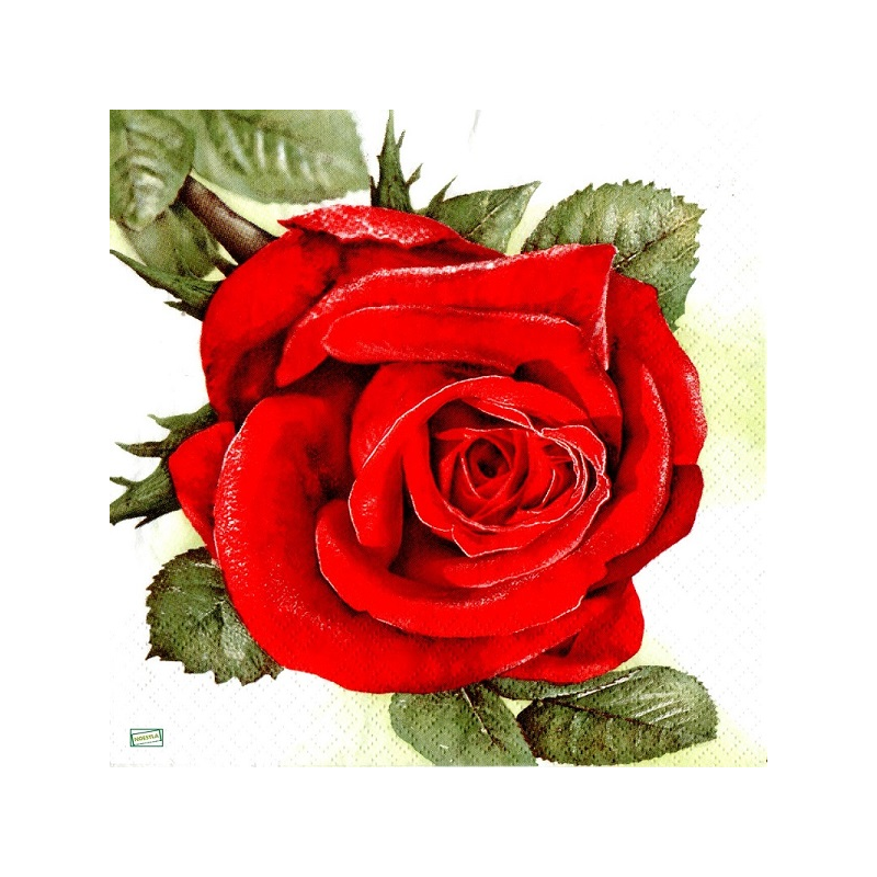 1serviette papier Les Roses-66