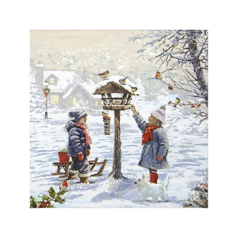 1serviette Paysage Enneigé-46