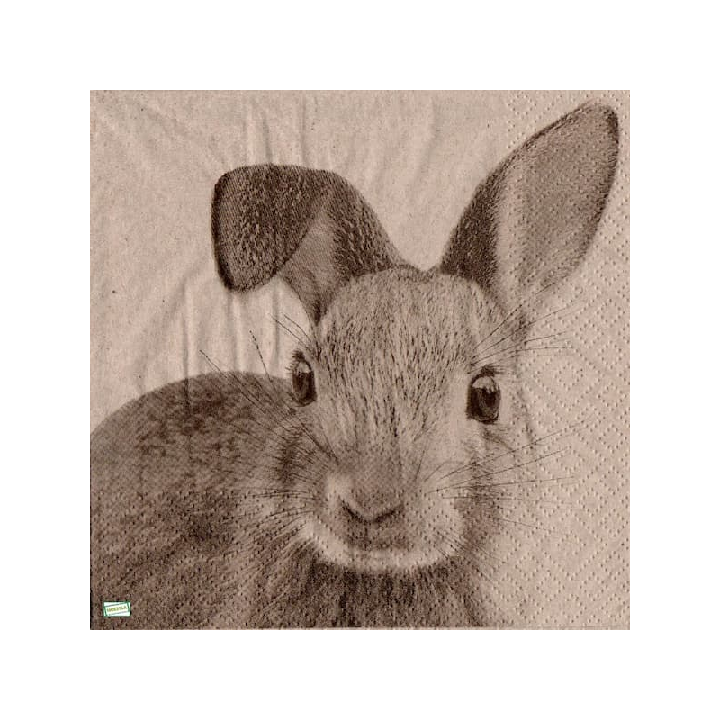 1serviette papier Le Lapin-20