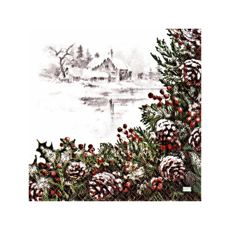 1serviette Paysage Enneigé-53