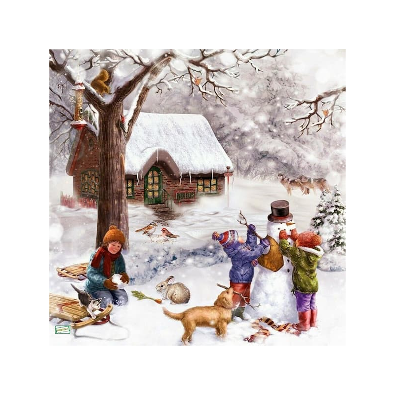 1serviette Paysage Enneigé-66