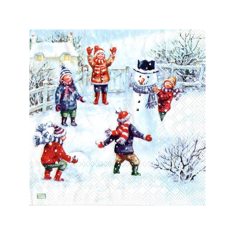 1serviette Paysage Enneigé-67