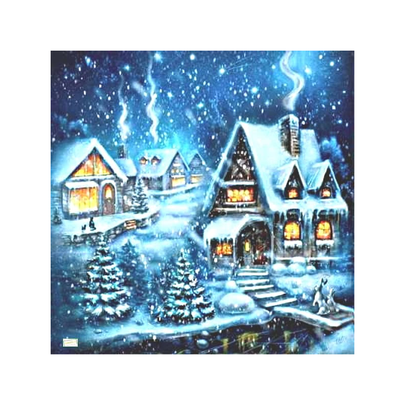 1serviette Paysage Enneigé-68